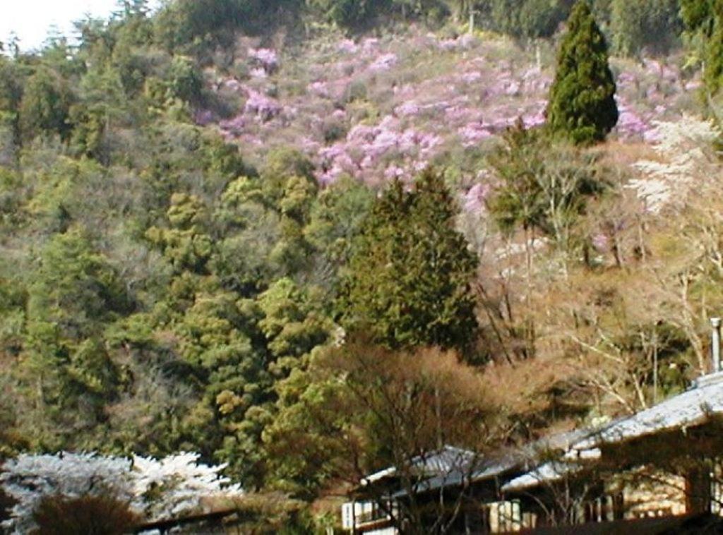 Takao Kanko Hotel Quioto Exterior foto